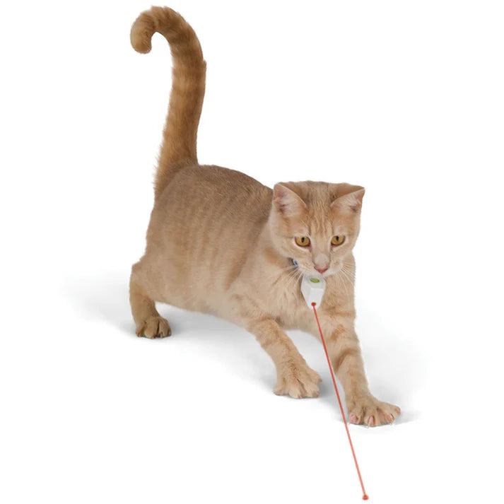 Lewello™ Smart Laser Cat Collar